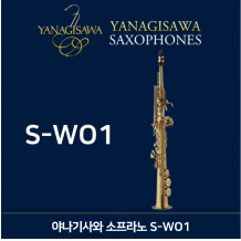 S-WO1