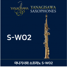 S-WO2