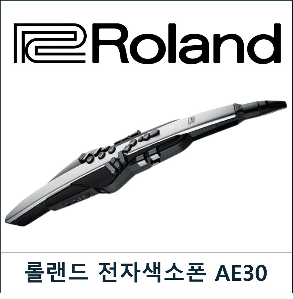 ROLAND (롤랜드)AE30-PRO