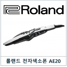 ROLAND (롤랜드)AE20 블랙/화이트